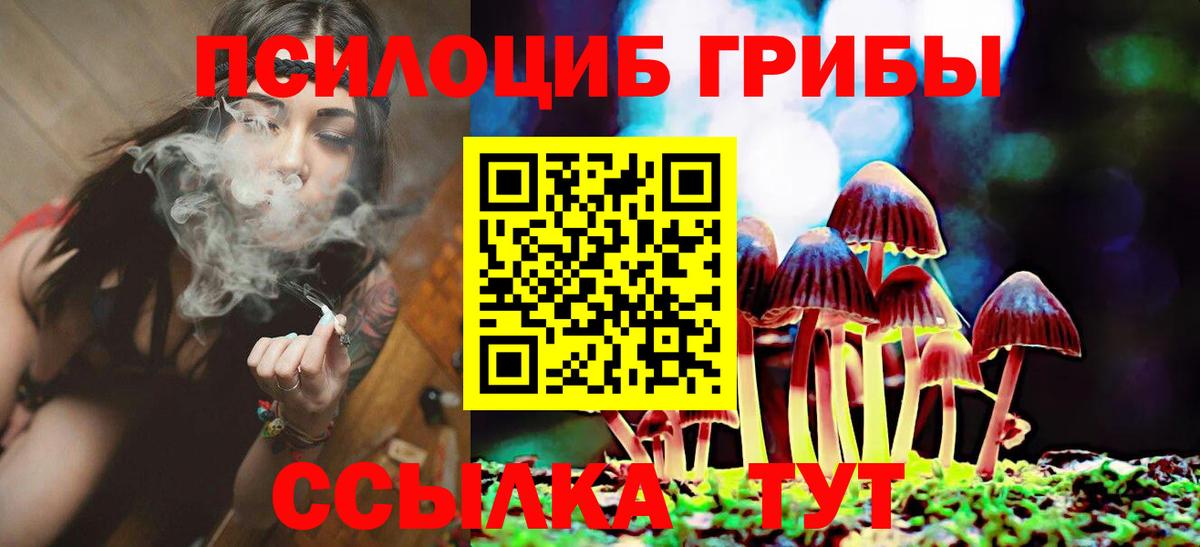 Галлюциногенные грибы мицелий  Псилоцибиновые грибы прущие грибы  Дзержинский  Вход с VPN 